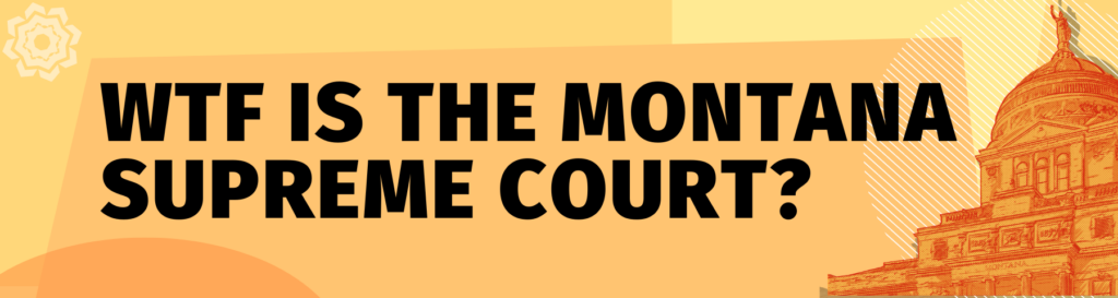 image of montana state capitol building with wording 'wtf is the montana supreme court' 